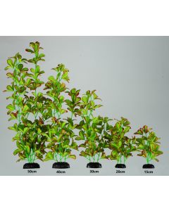 Silk Plant Aquarium Ornament in Various Sizes (Red Tipped Ludwigia)